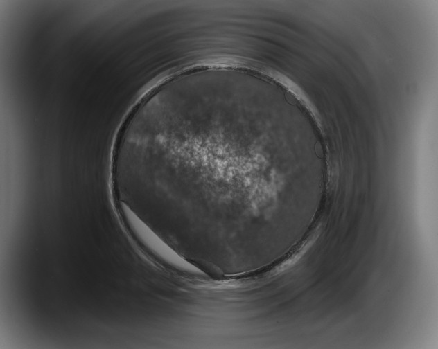 X0000087530845200705251658