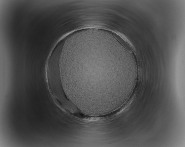 X0000087530846200705251658