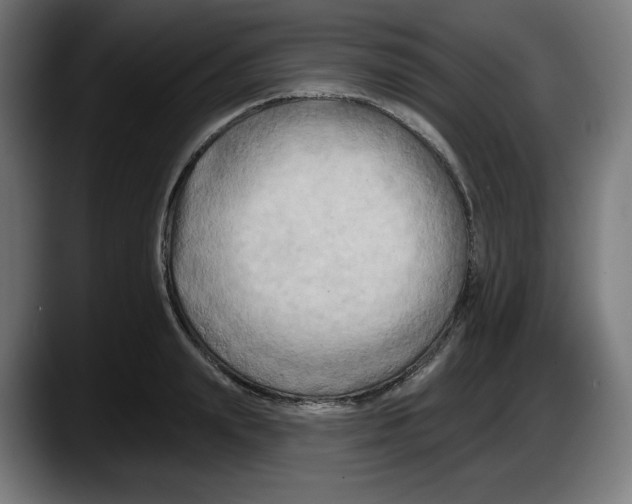 X0000087530847200705251658