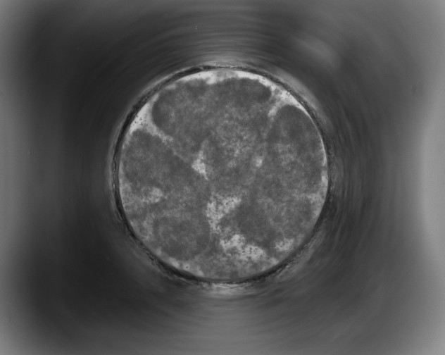 X0000087530848200705251658
