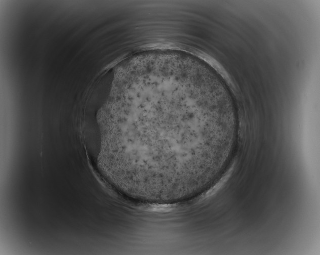 X0000087530849200705251658