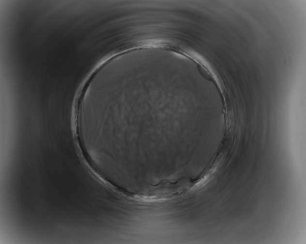 X0000087530851200705251658