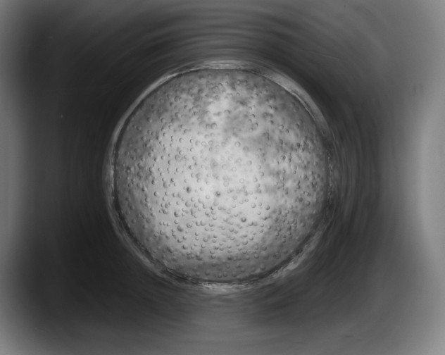 X0000087530852200705251658