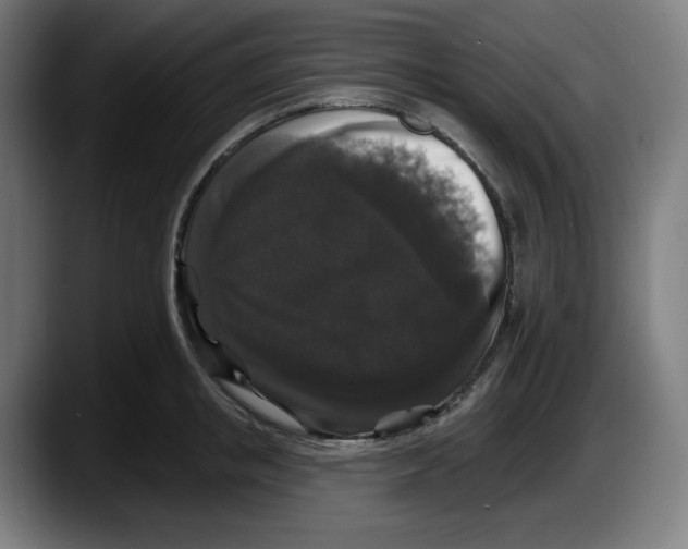 X0000087530853200705251658