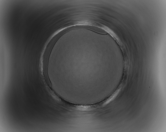 X0000087530854200705251658