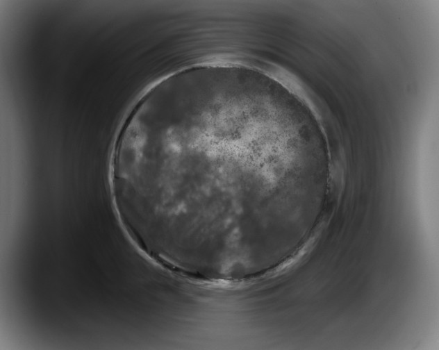 X0000087530855200705251658