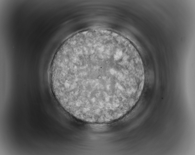 X0000087530856200705251658