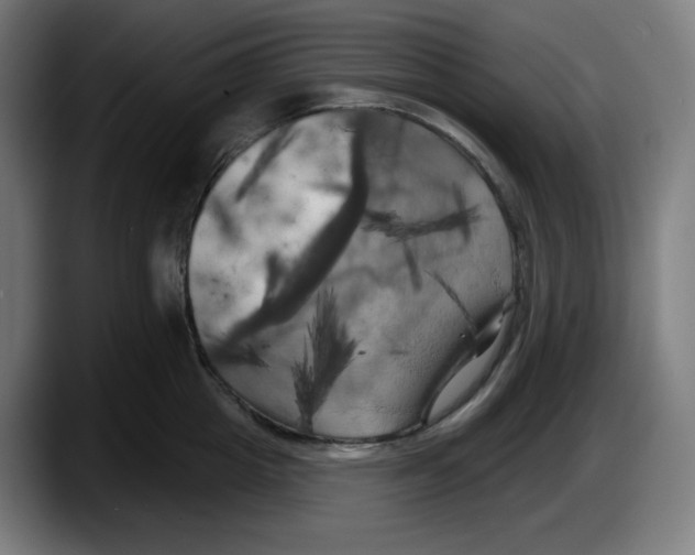 X0000087530857200705251658