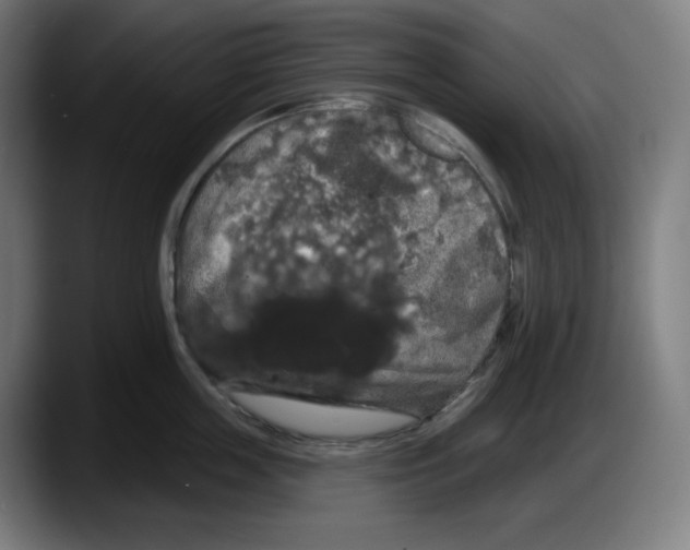 X0000087530859200705251658