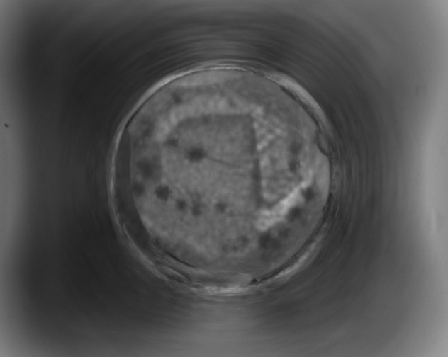 X0000087530860200705251658