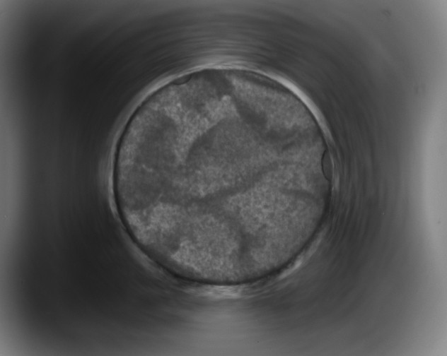 X0000087530861200705251658