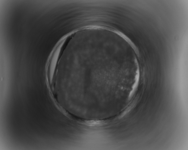 X0000087530862200705251658