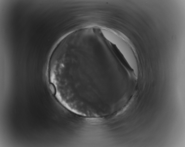X0000087530863200705251658