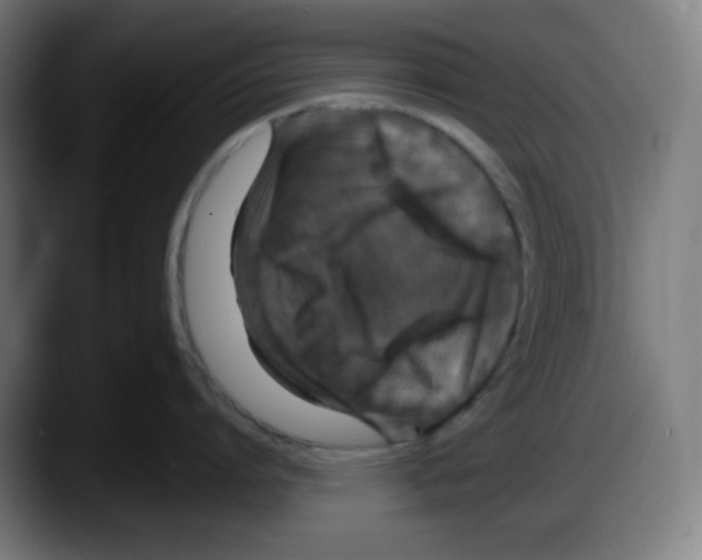 X0000087530864200705251658