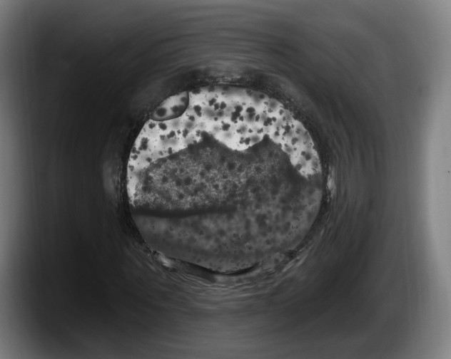 X0000087530867200705251657