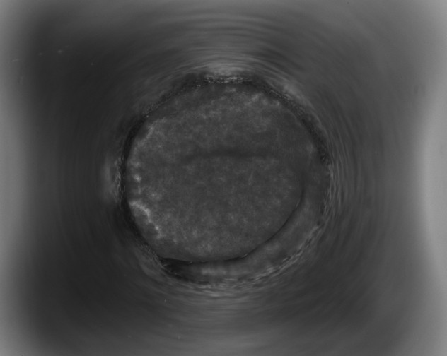 X0000087530868200705251657