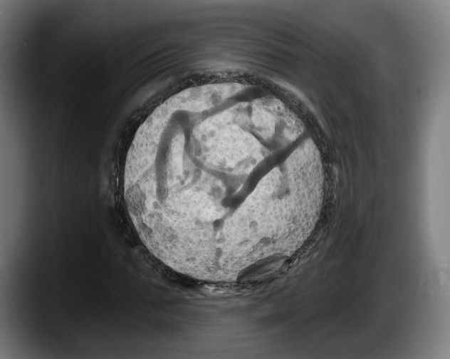 X0000087530871200705251657