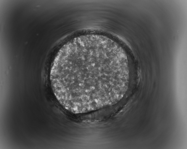 X0000087530872200705251657