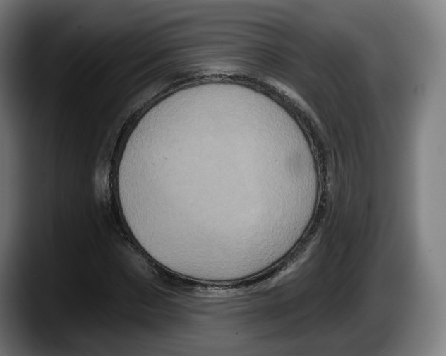 X0000087530873200705251657