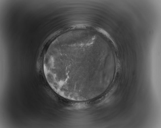 X0000087530874200705251657