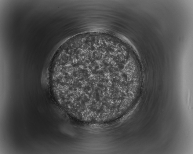 X0000087530875200705251657