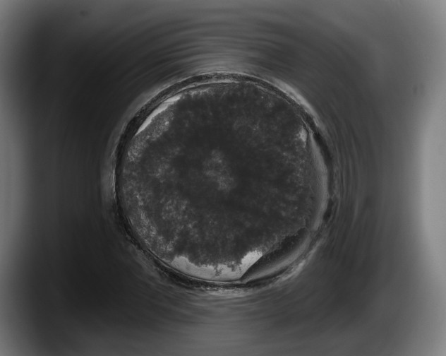 X0000087530877200705251657