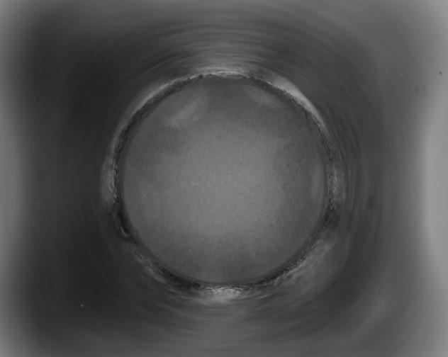 X0000087530878200705251657