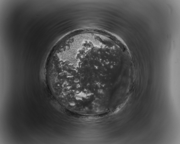 X0000087530879200705251657