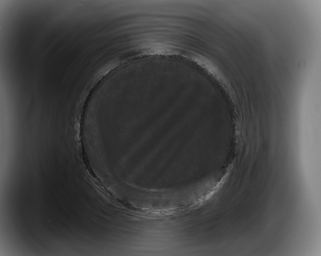 X0000087530881200705251657