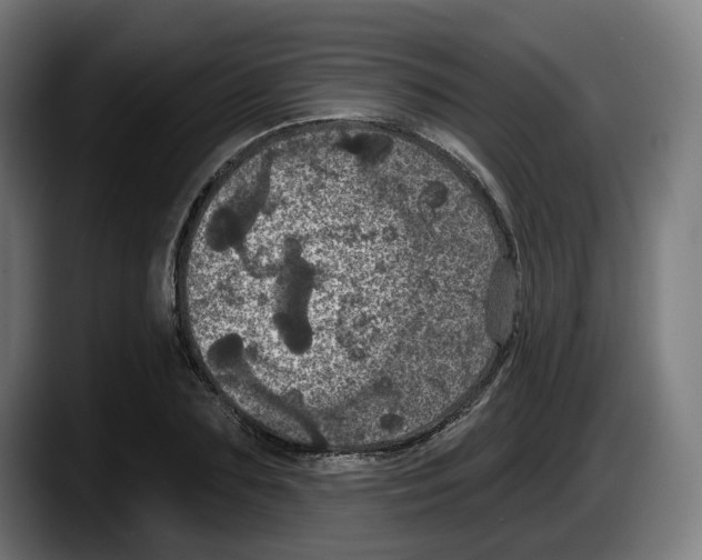 X0000087530883200705251657