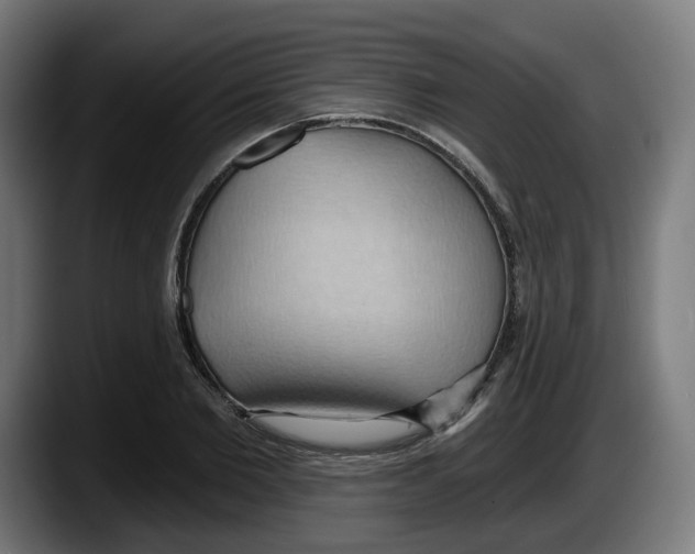 X0000087530885200705251657