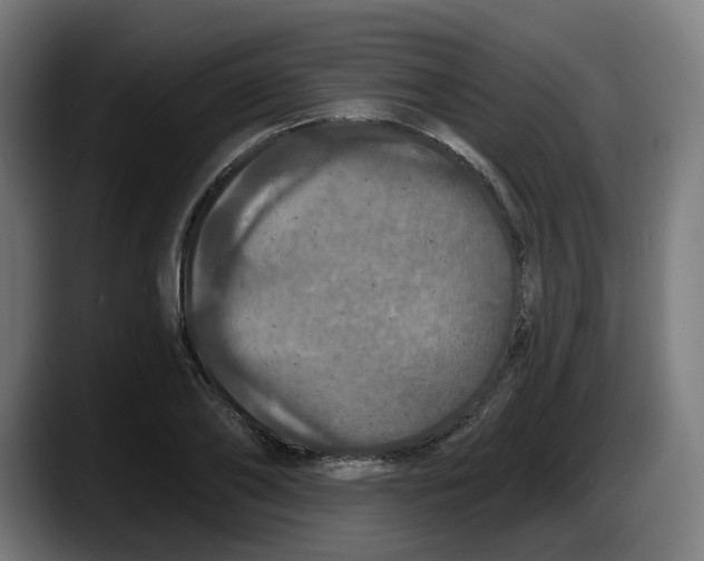 X0000087530886200705251657