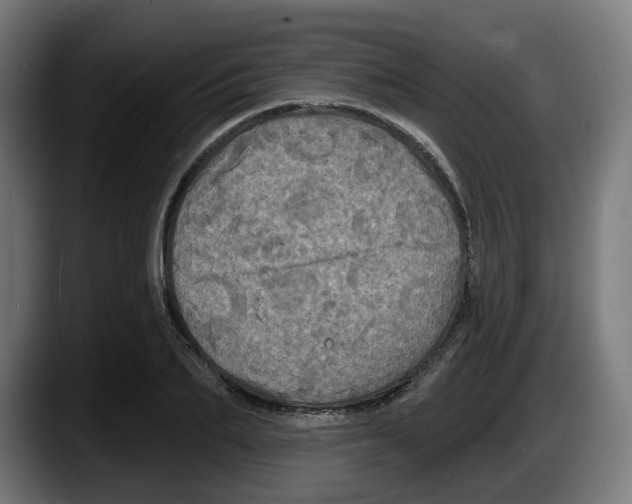 X0000087530887200705251657