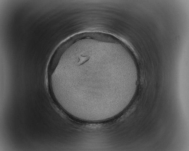 X0000087530888200705251657