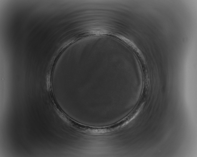 X0000087530889200705251657