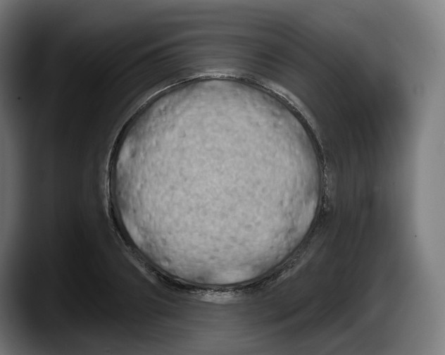 X0000087530890200705251657