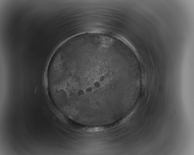 X0000087530891200705251657