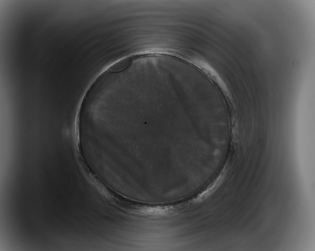 X0000087530892200705251657