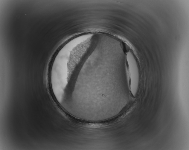 X0000087530894200705251657