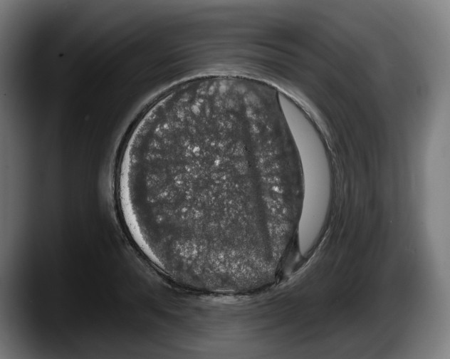 X0000087530896200705251657