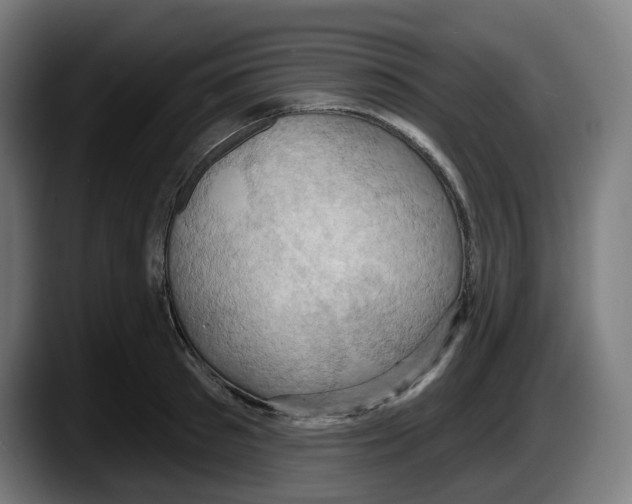 X0000087530897200705251657