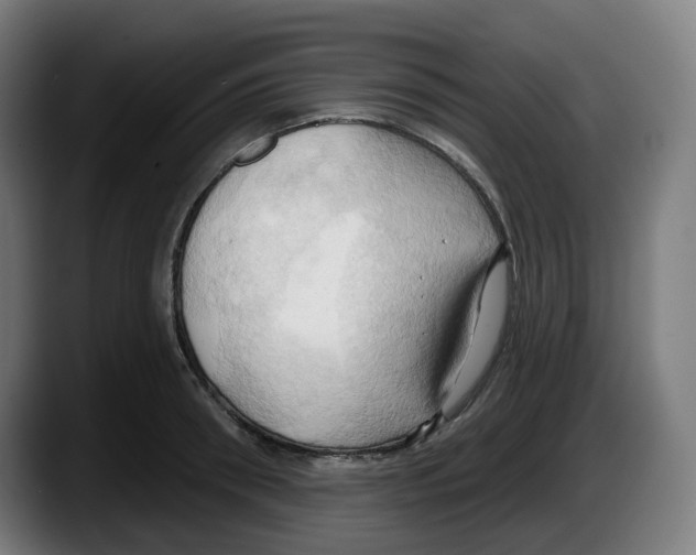 X0000087530898200705251657