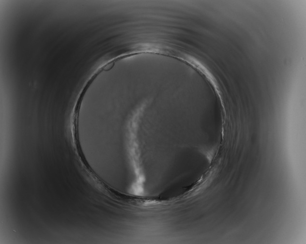 X0000087530899200705251657