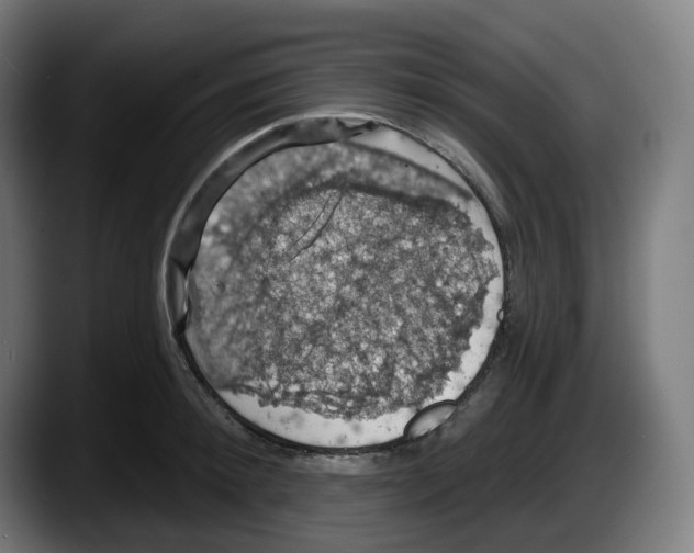 X0000087530900200705251657