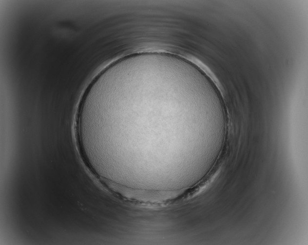 X0000087530901200705251657