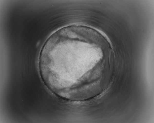 X0000087530903200705251657