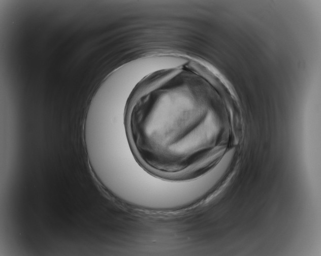 X0000087530905200705251657