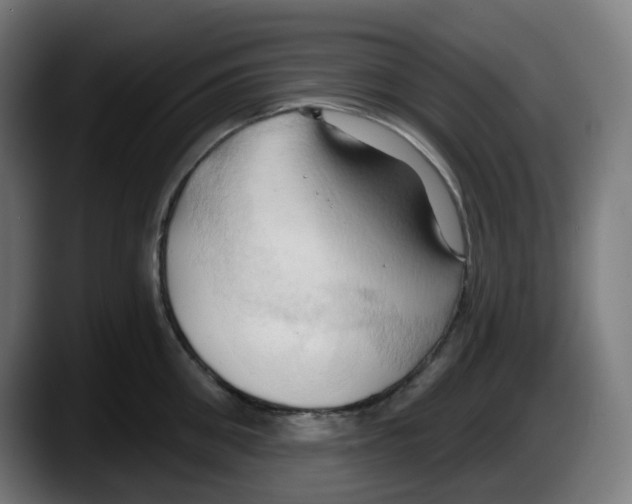 X0000087530906200705251657