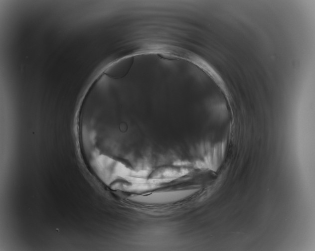 X0000087530907200705251657