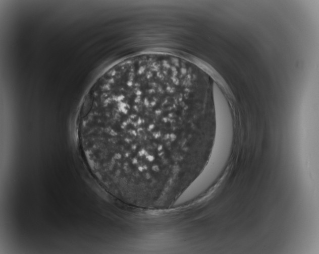 X0000087530908200705251657